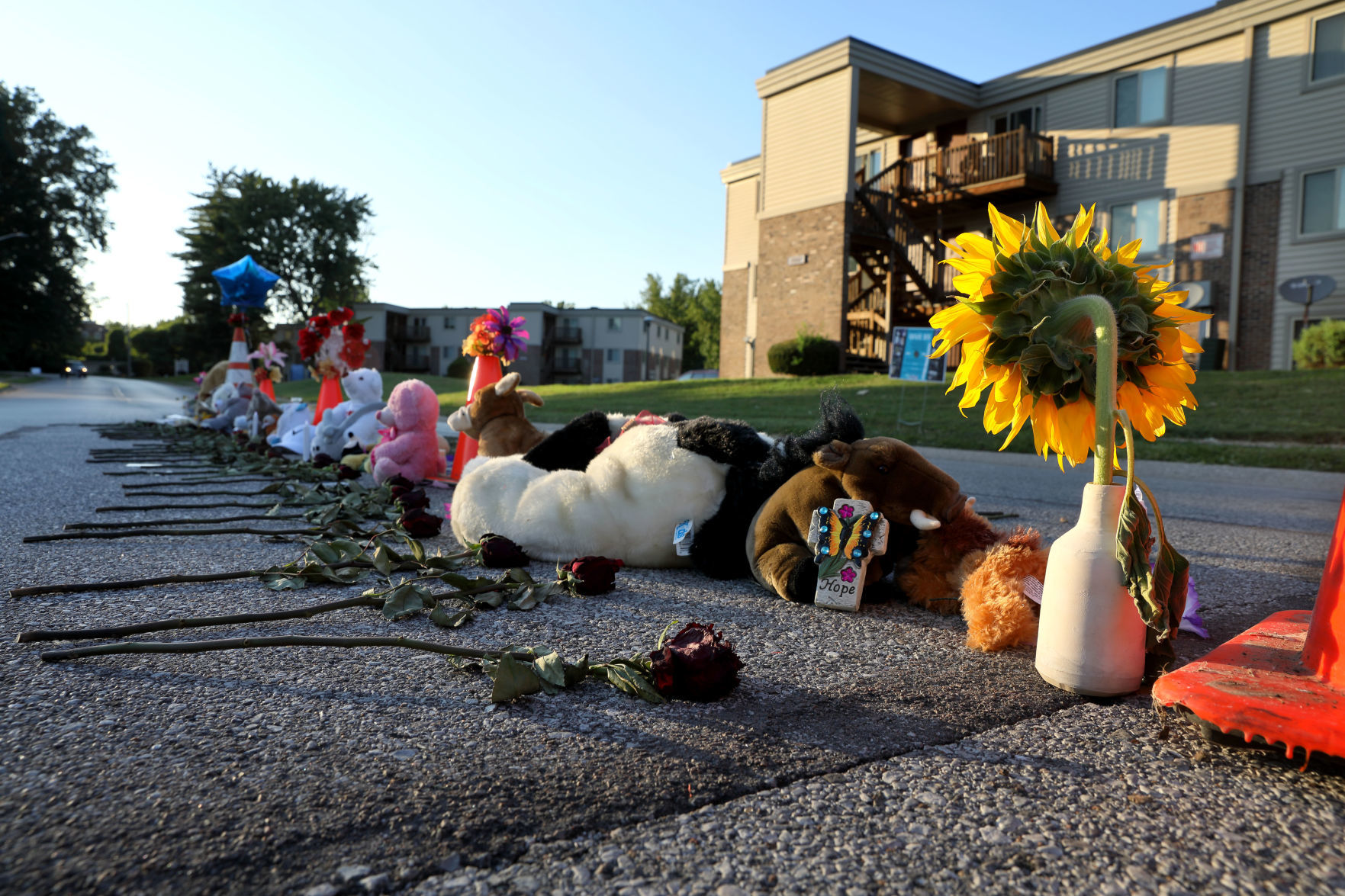 Ferguson five years later